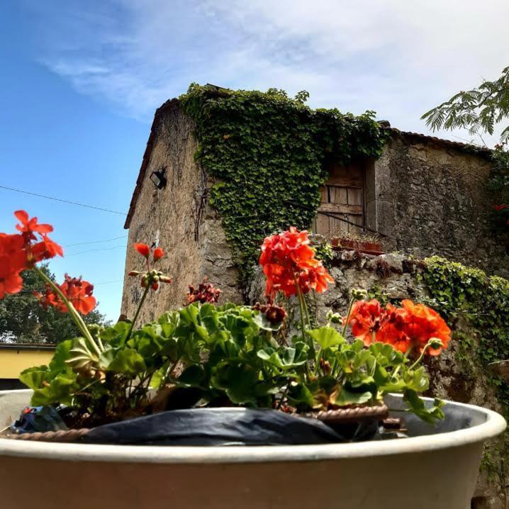 Affittacamere Varone Montaquila Exteriör bild